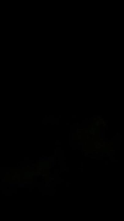 Eyaculación nocturna