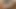 Gina çok sıcak milf alır sikme slap köpek sevimli göt
