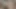 Secretdreamsfuta Hard Anal Sex Delicious Hot Big Ass Swallow Huge Monster Cock Sweet Tasty Pleasure Intense Sex