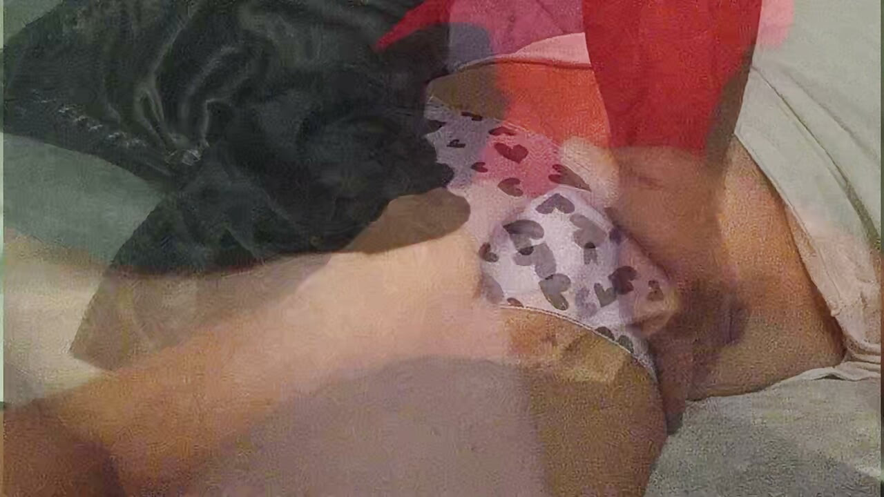 Chronicles Of a Panty Raider - The Pink Satin Bikini With The Black Hearts