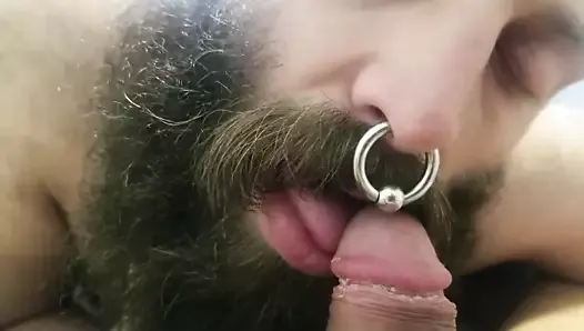 bearded bear smells and suck cock