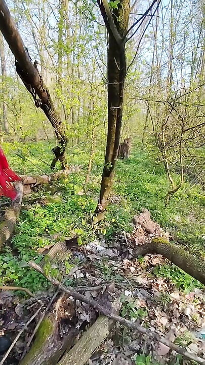 In public a quick blowjob in the forest with oral cum! Delicious!