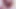 Jungle bbc ebony ts sensational relaxing