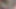 Genç Hintli koca karısını sikiyor