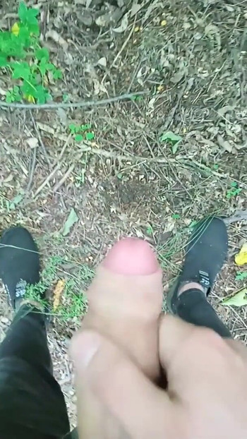 Key moment from "wank cruise. jerking off quickly in the woods until mom sees"