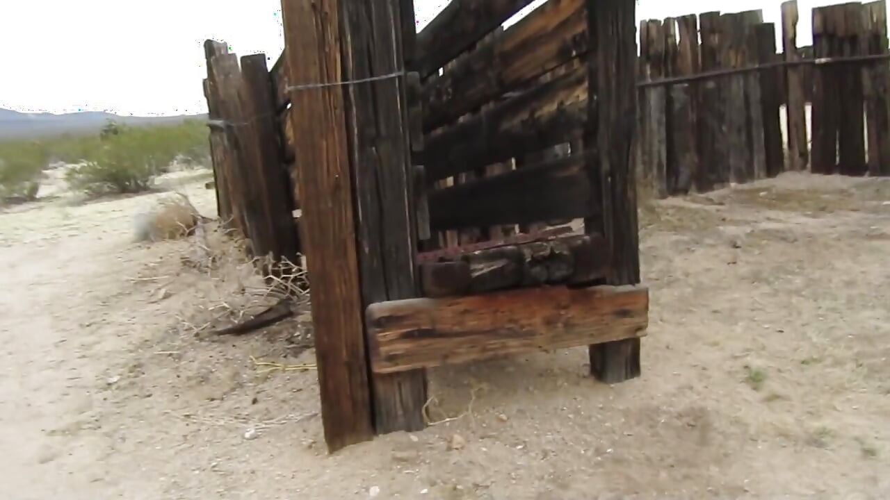 Desert Cow Pen Cum 3