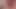 My anal flower wants to be licked. prolapse video