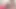 Crossdresser Wanida's Cumshot in 2025
