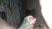 Pratinjau video