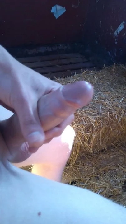 Boy Outdoor masturbating