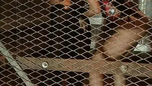 Delivers a steamy blowjob to her slave's cock in a BDSM affair