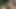 私の種類の男19
