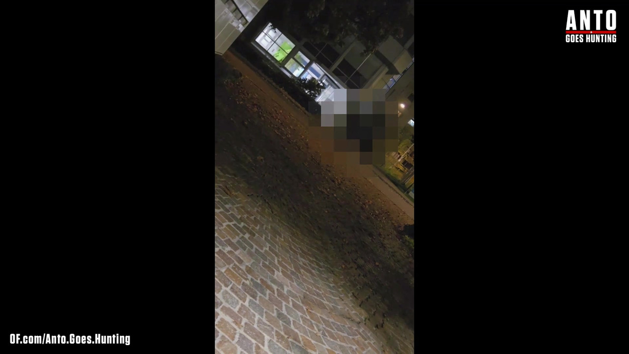 另一个保安走近并说服