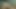 Adam büyük göt Latin karısının ev yapımı porno videosunu satıyor