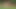 Black friends cumming in the garden under the sun