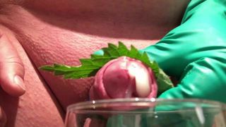 indoor stinging nettle with multiple cumshot