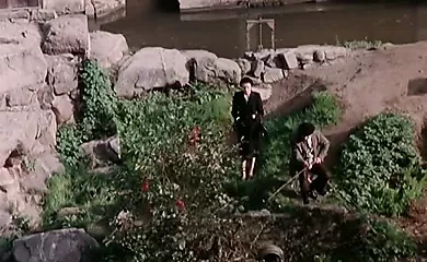 Whores of the Third Reich