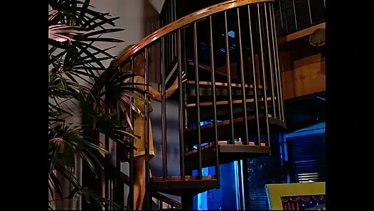 Wilde wünsche entfesselt