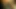 Penis Portrait