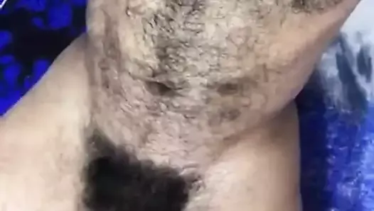 hairy and big