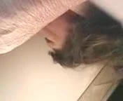 friend from the net