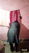 Pratinjau video