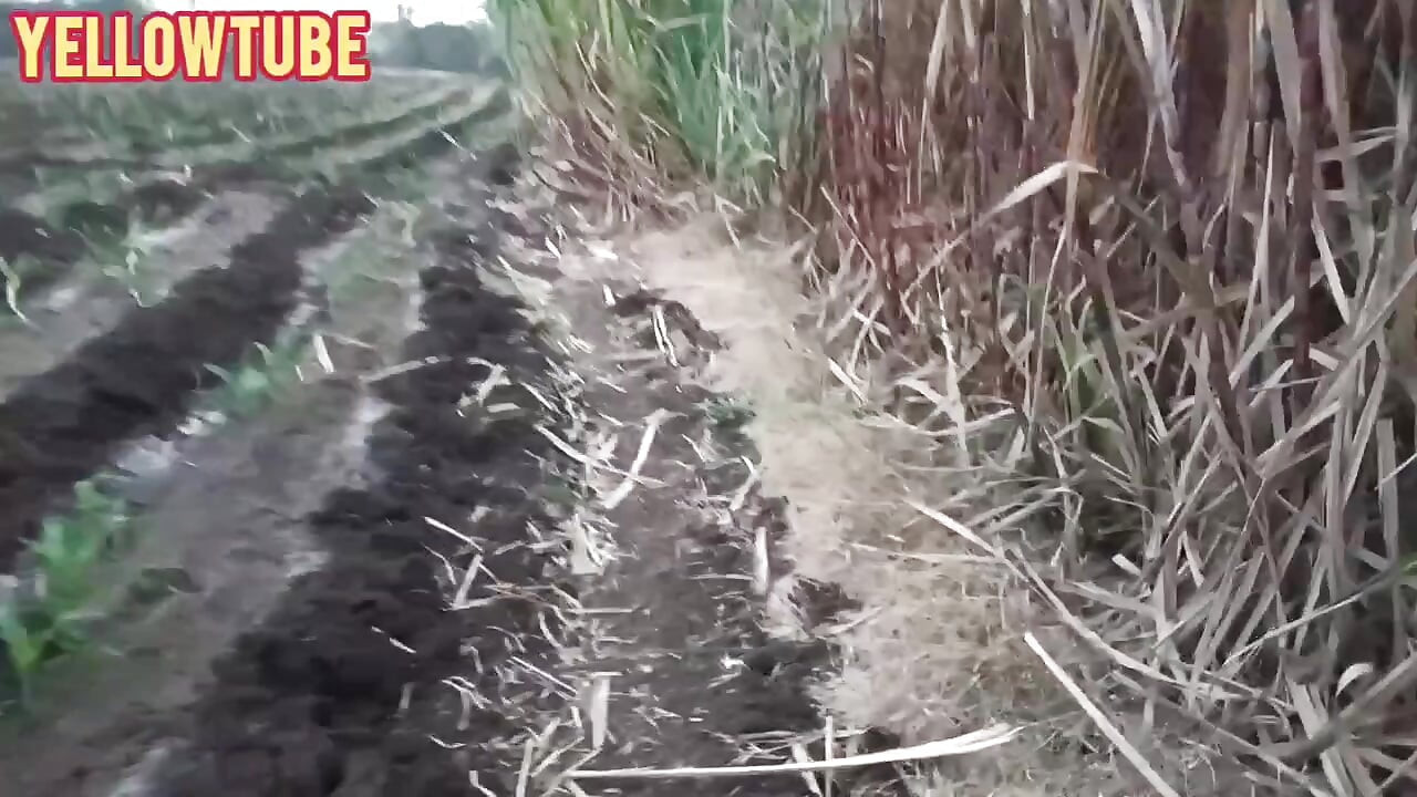 भारतीय आउटडोर सुंदर आउटडोर मज़ा और मस्त कामसूत्र