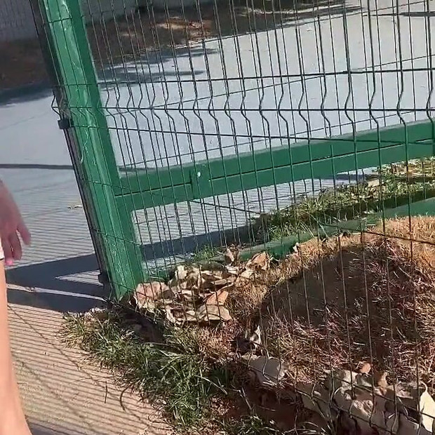 I Take My Wife To The Park To Show Off