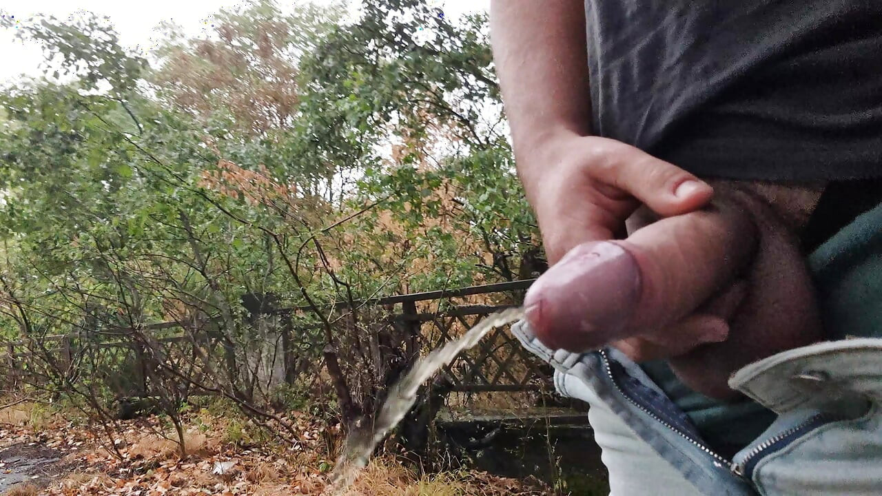 早上在森林裡撒尿。