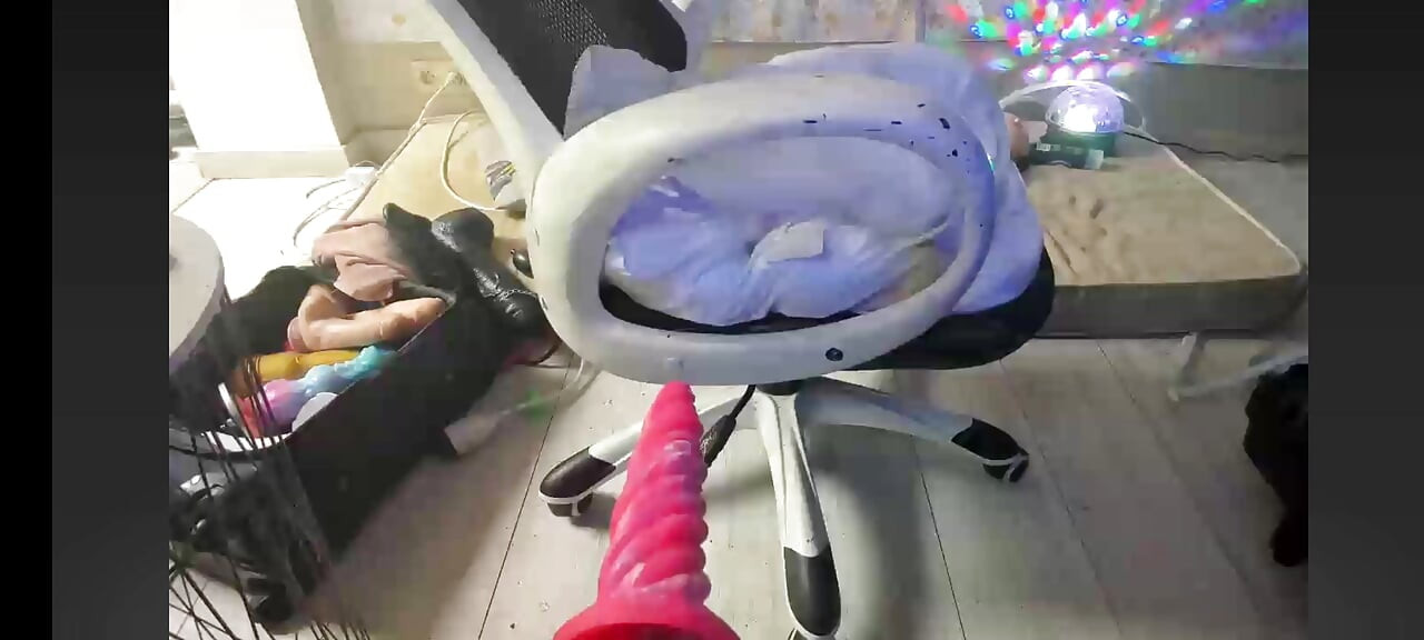sissy on cam 4 재미