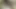 En güzel kısa saçlı seks bombası hayatının en iyi anal deneyimini yaşıyor