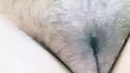 Desi Indian college girl hairy pussy
