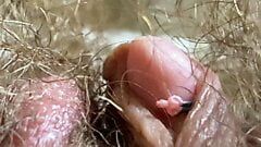 Extreme close-up van grote clitoris, vagina, kontgaatje en mond-reuzin fetisjvideo, harig lichaam