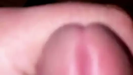 amatör
