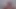 Big Black Hairy Cock Worship Hallelujah Johnson (Masturbating Jerking off Stroking my Huge Dick)