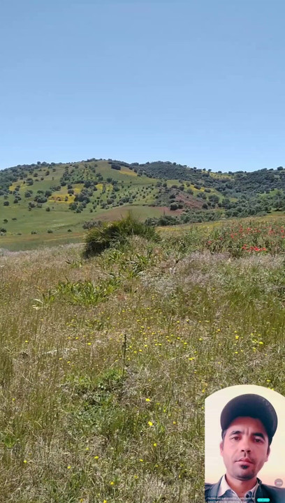 The nature blow my mind