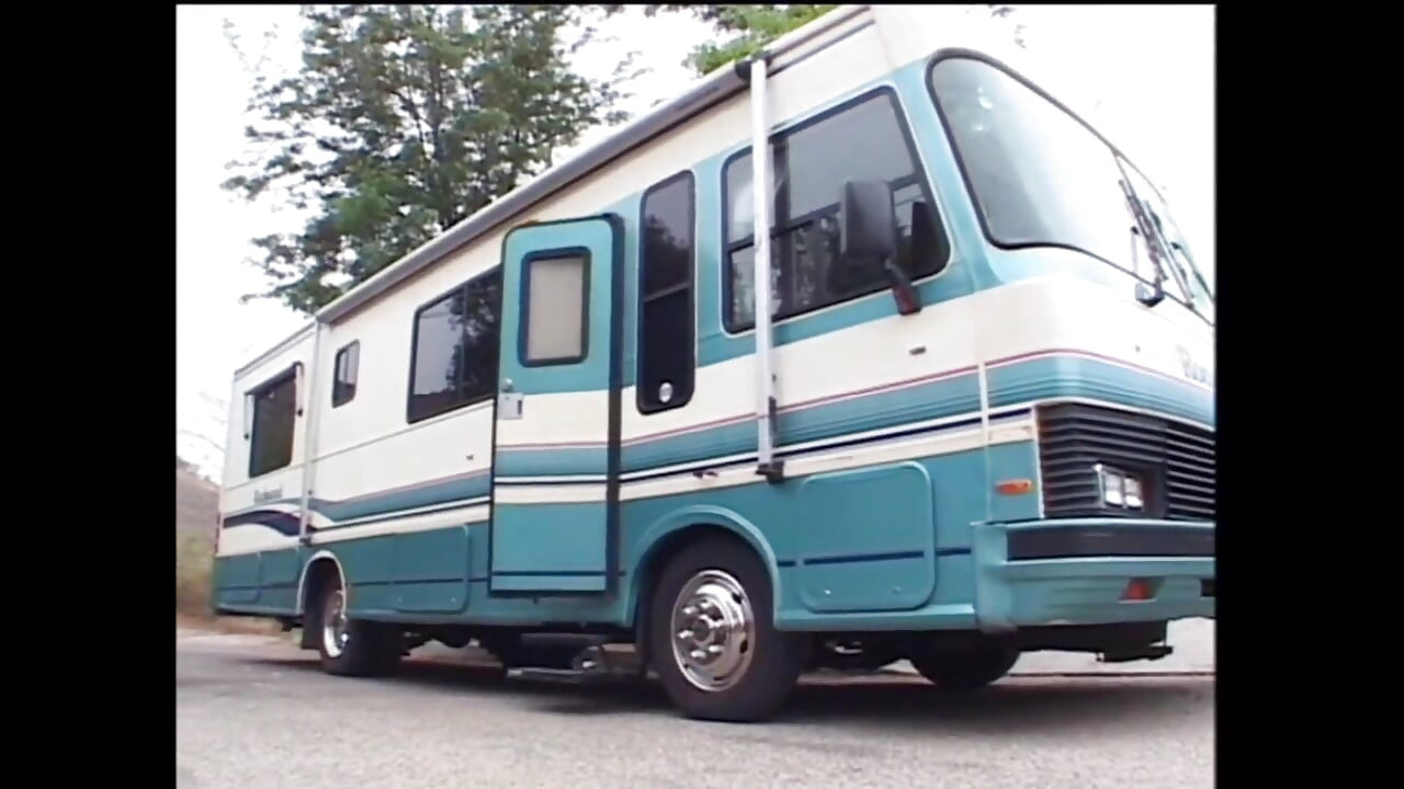 지금 이 순간 성기에 대한 욕망