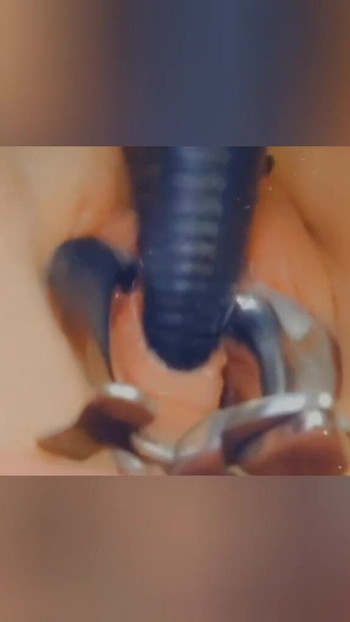 Key moment from "German sub SklavinS a new Peehole Slave Training! Until her Master can fuck her urethral!!"