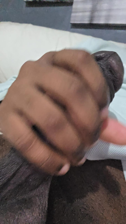 กิจวัตรประจําวันของ Ma petite