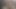 New video 2024-01-29 15:17:43