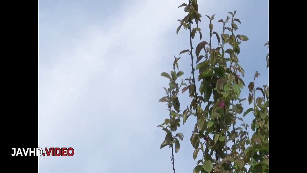 Leidenschaftlicher asiatischer star liefert perfekte blowjobs für erotischen porno-spielspaß