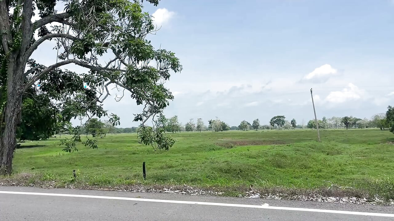Stepsister made her want to suck cock on a public road while we were going on a trip