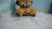 Pregled videozapisa