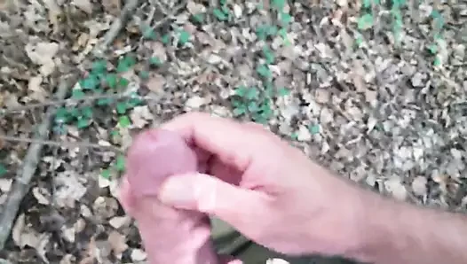 ...neulich im Wald.....