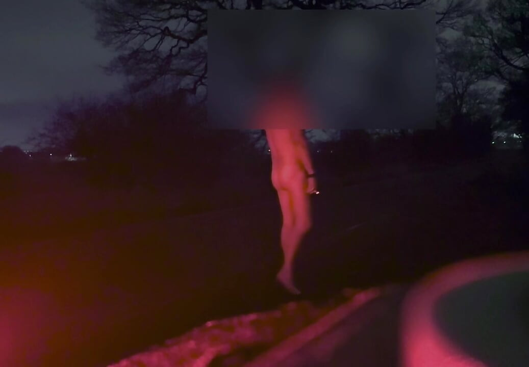 裸で道中でピクピクしている