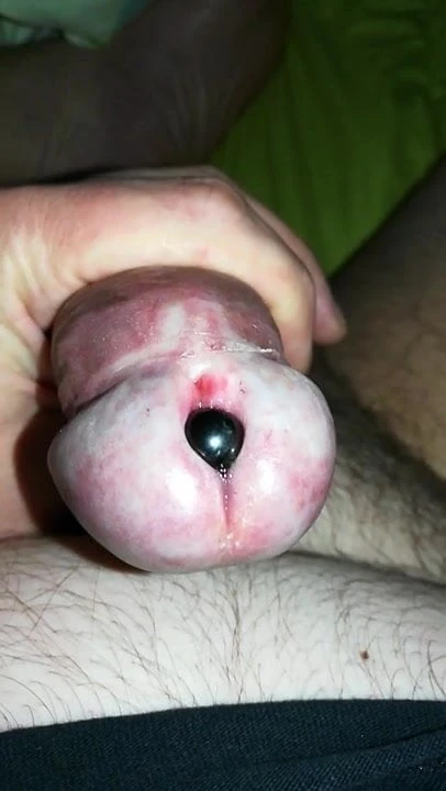 My pierced Cock
