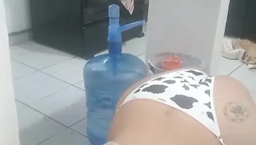 Vaquita punished for being