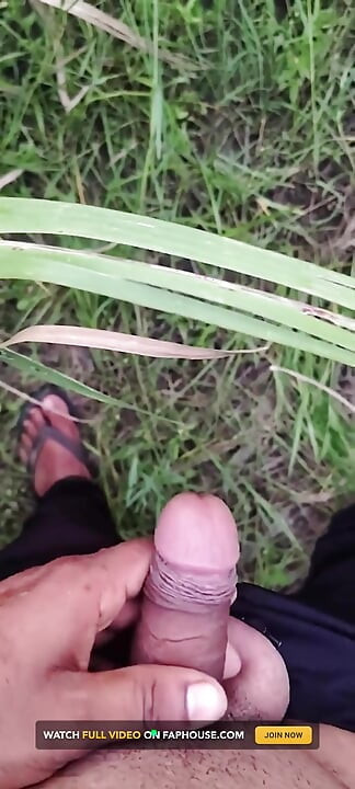 Masturbasi di ladang tebu