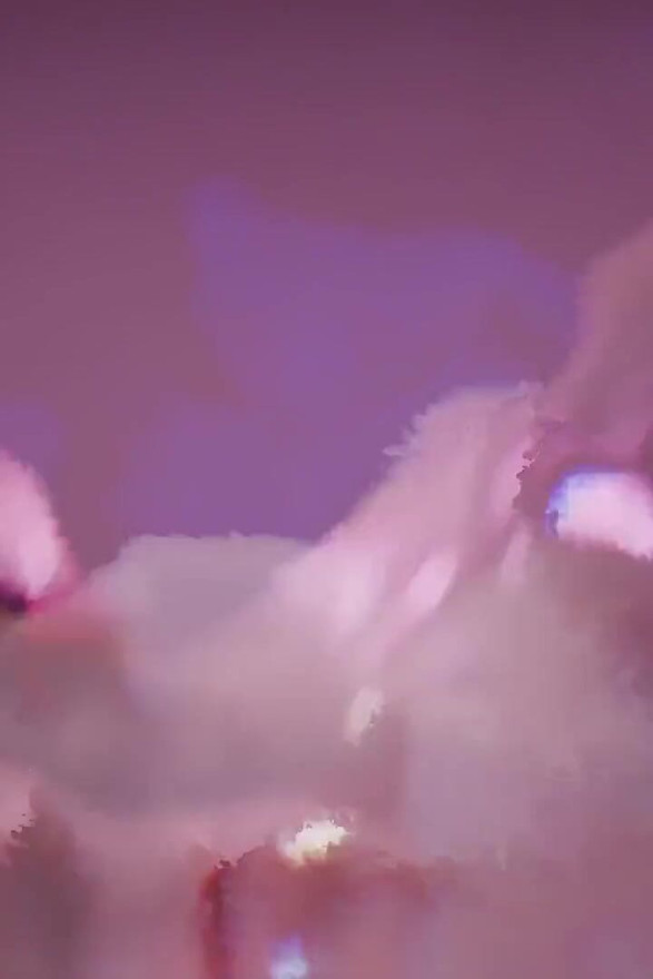 C038 a Man Is Restrained in a Toy and Is Sat on the Face by a Woman's Big Ass