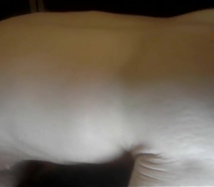 Toy Fucking Me